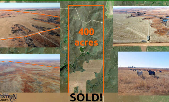 SOLD AT AUCTION! January 26 Deerhead land auction