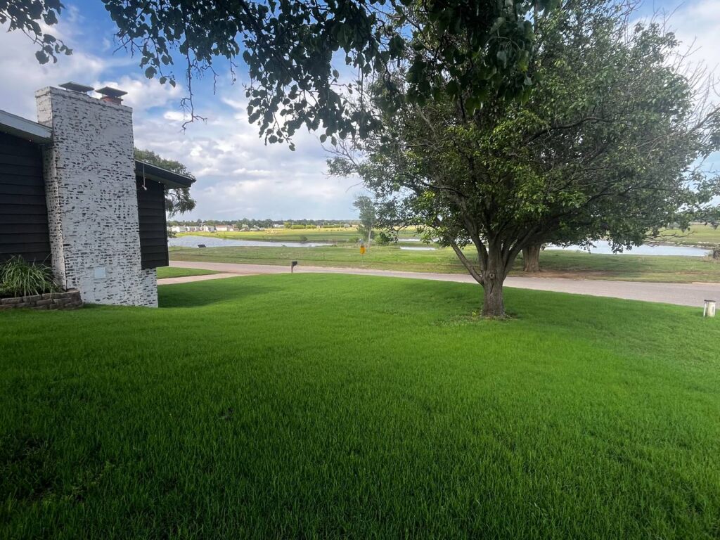 501 N. Cedar in Medicine Lodge, Kansas — Yard