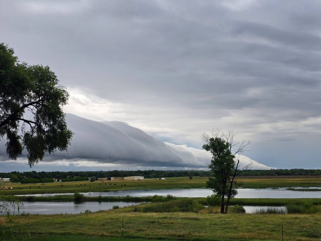501 N. Cedar in Medicine Lodge, Kansas — View